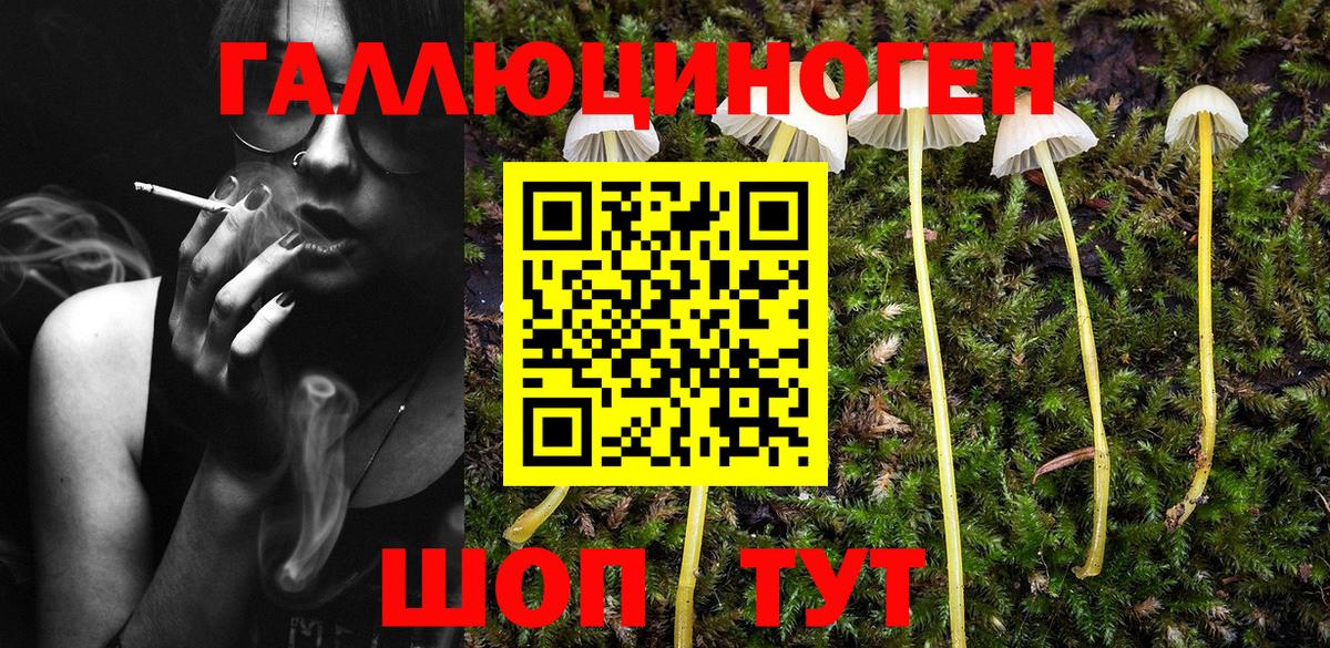Галлюциногенные грибы Cubensis Тверь